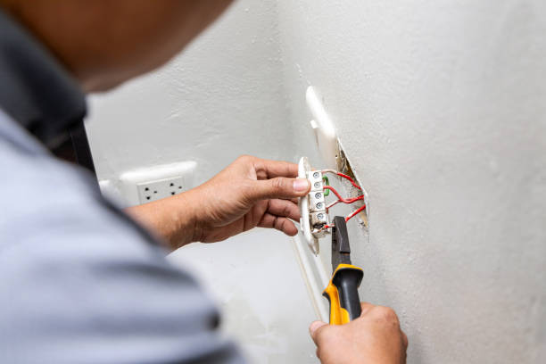 Best Electric Panel Repair  in Pocono Woodland Lakes, PA